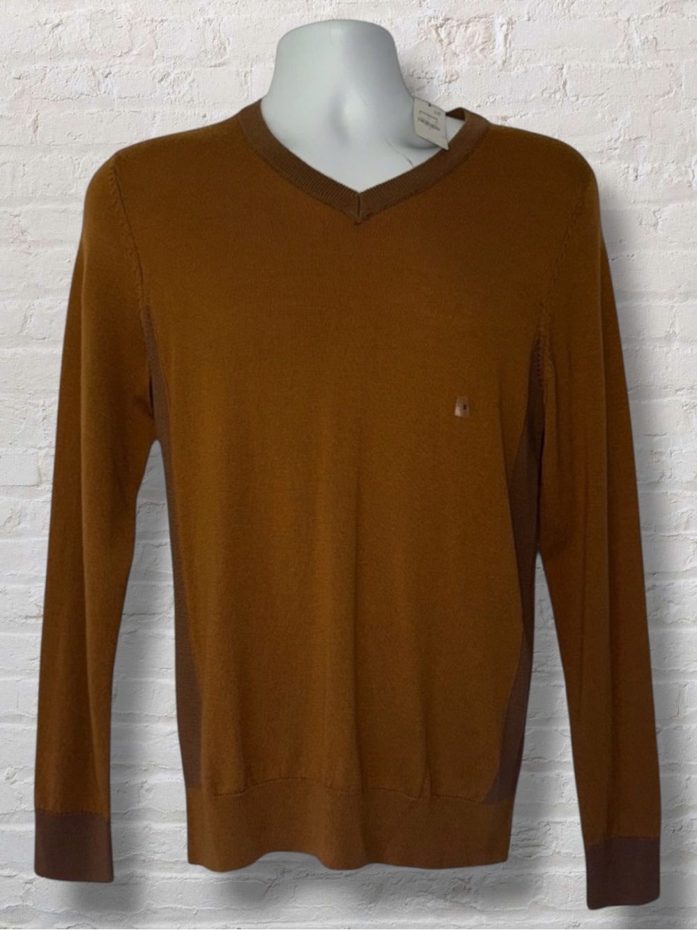 Express Merino Wool V-Neck Sweater Men’s Small Brown Rust Long Sleeve Pullover